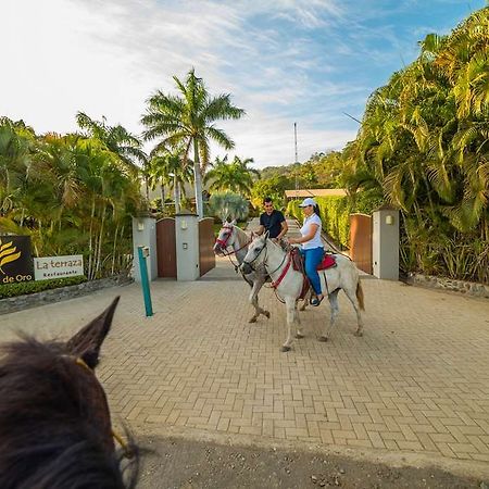 Hotel Palma De Oro Punta Islita Dış mekan fotoğraf